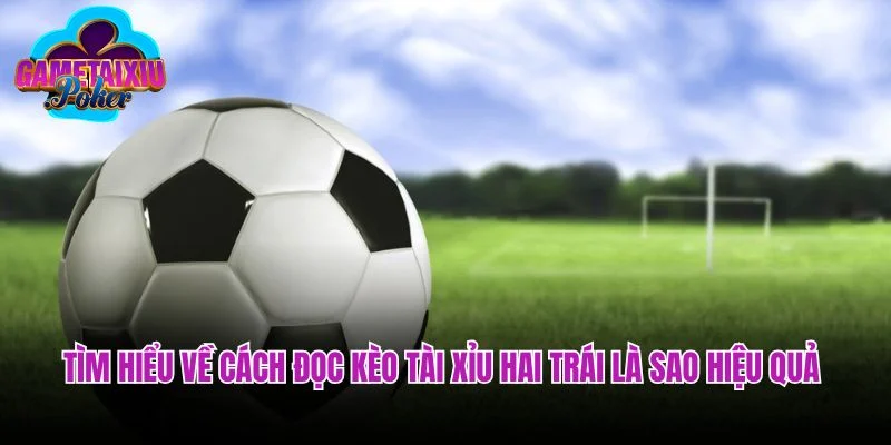 Tìm hiểu về cách đọc kèo tài xỉu hai trái là sao hiệu quả
